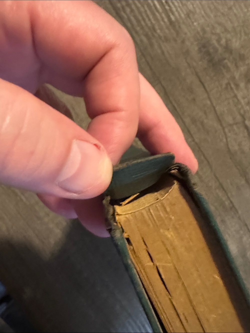 Huckleberry Finn Hardcover - Picture 10 of 10